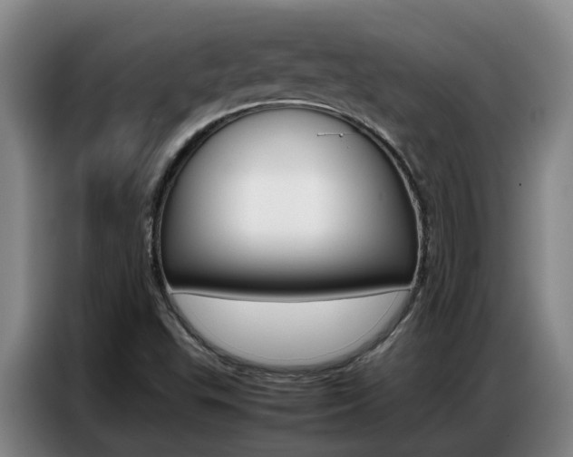 X0000087321503200704200728