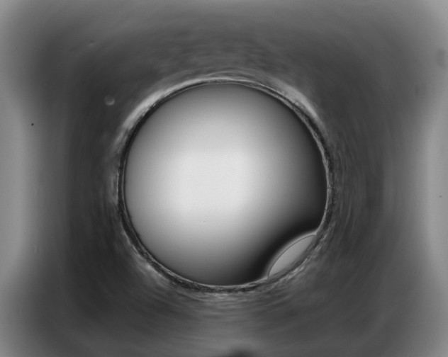 X0000087321504200704200728