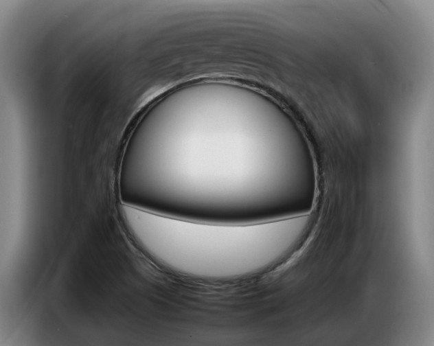 X0000087321505200704200728