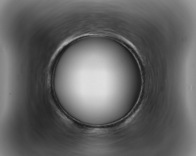 X0000087321506200704200728