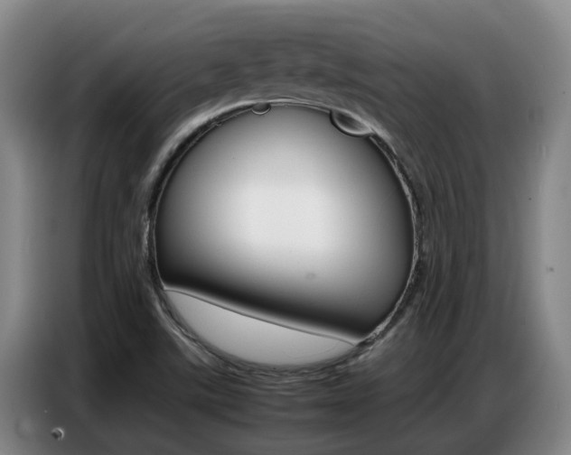 X0000087321507200704200728