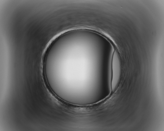 X0000087321508200704200728