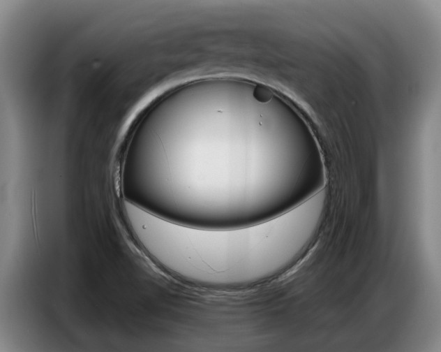 X0000087321510200704200728