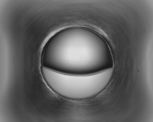 X0000087321512200704200728