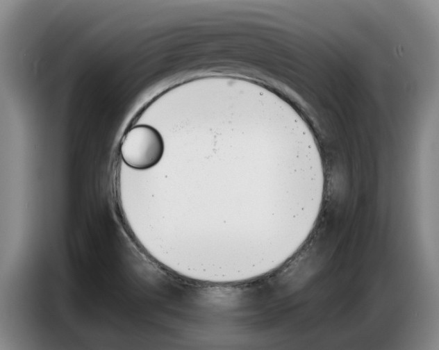 X0000087321514200704200728