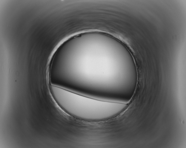 X0000087321516200704200728