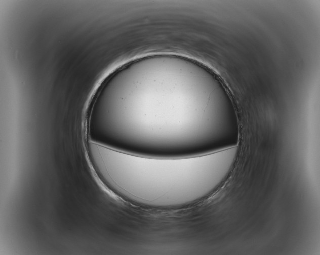 X0000087321519200704200728