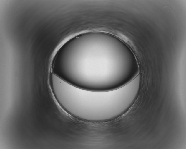 X0000087321520200704200728
