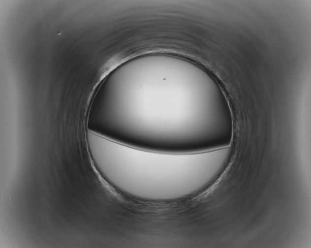 X0000087321521200704200728