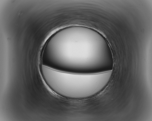 X0000087321523200704200728