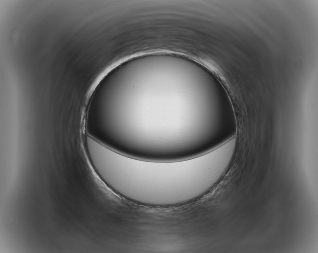 X0000087321524200704200728