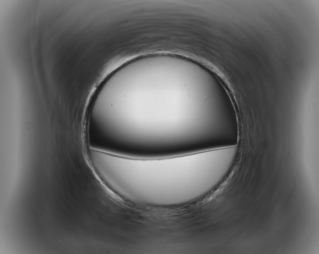 X0000087321525200704200728