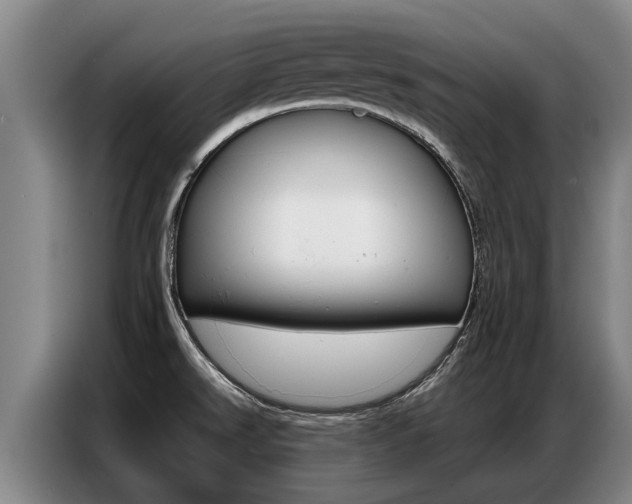 X0000087321526200704200728