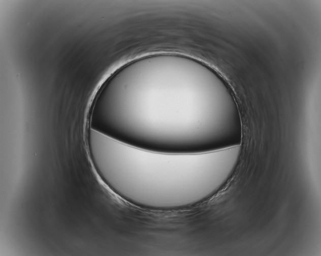 X0000087321527200704200728