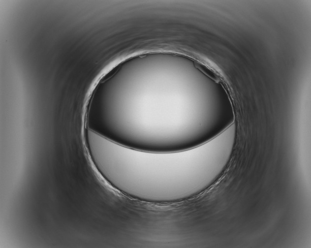 X0000087321528200704200728