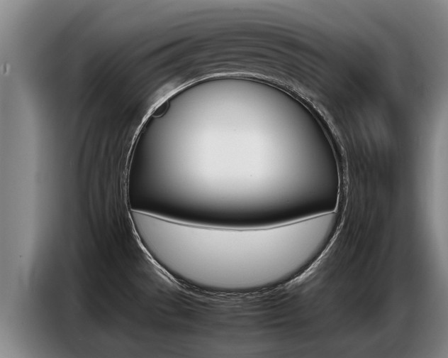 X0000087321529200704200728