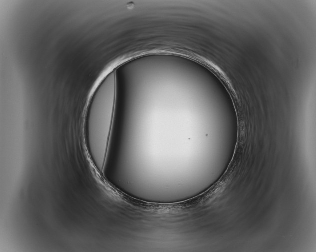 X0000087321530200704200728