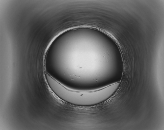 X0000087321532200704200728