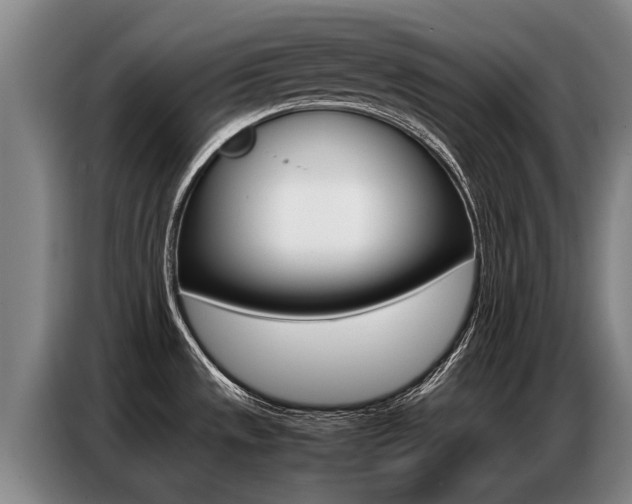 X0000087321533200704200728
