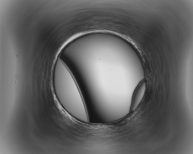 X0000087321534200704200728