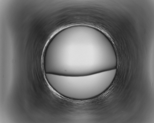 X0000087321535200704200728