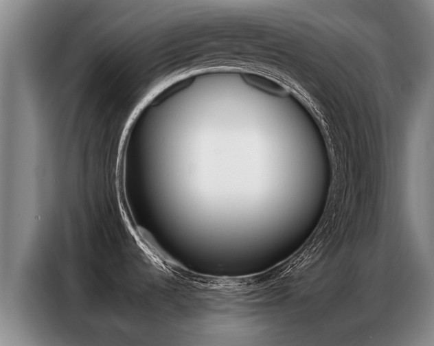 X0000087321536200704200728