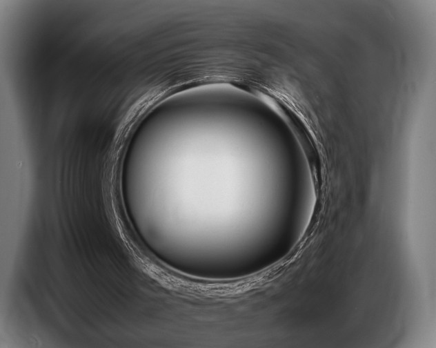 X0000087320001200704201118