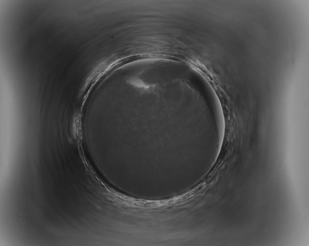 X0000087320002200704201118