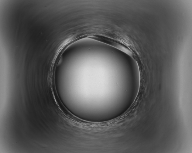 X0000087320003200704201118