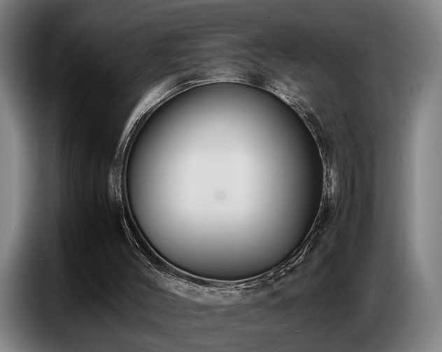 X0000087320004200704201118