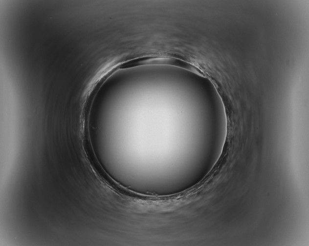 X0000087320005200704201118