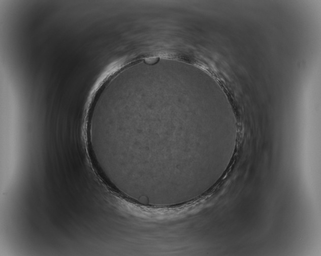 X0000087320006200704201118