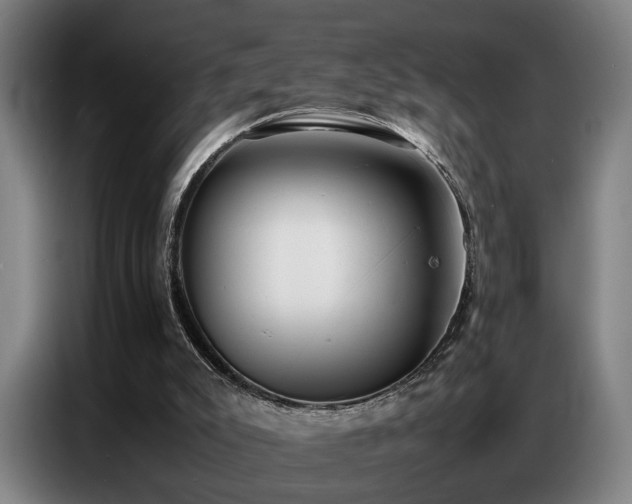 X0000087320007200704201118
