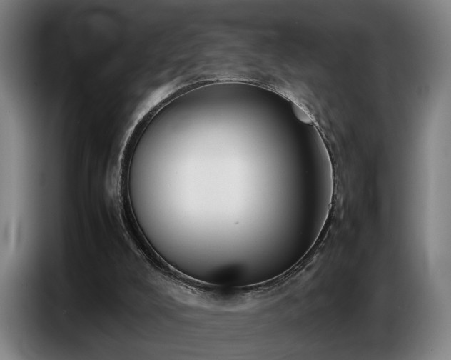 X0000087320008200704201118