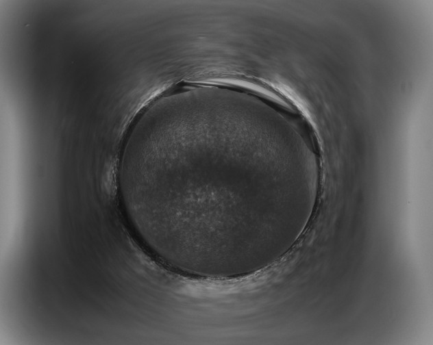 X0000087320009200704201118