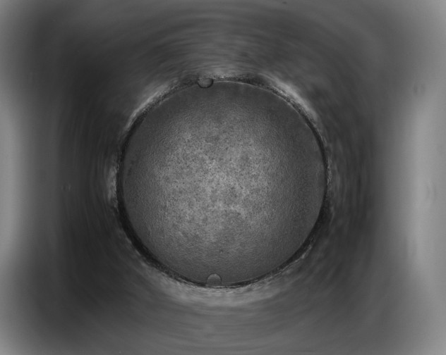 X0000087320010200704201118
