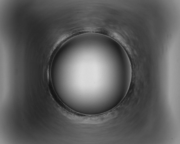 X0000087320011200704201118