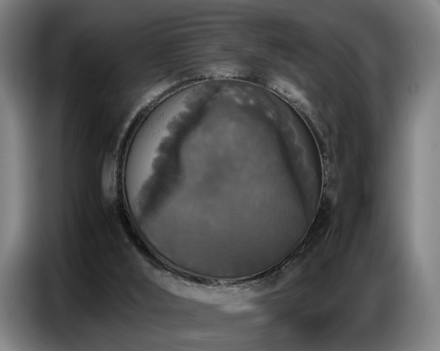 X0000087320012200704201118