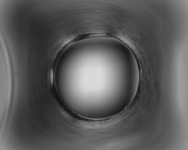 X0000087320013200704201118