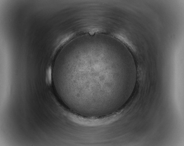 X0000087320014200704201118