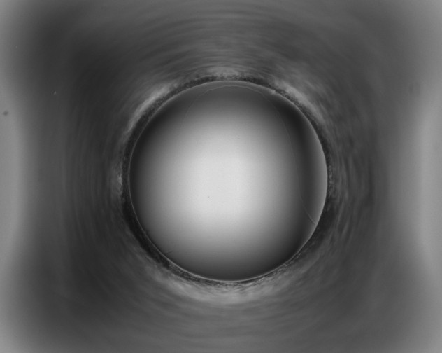 X0000087320015200704201118