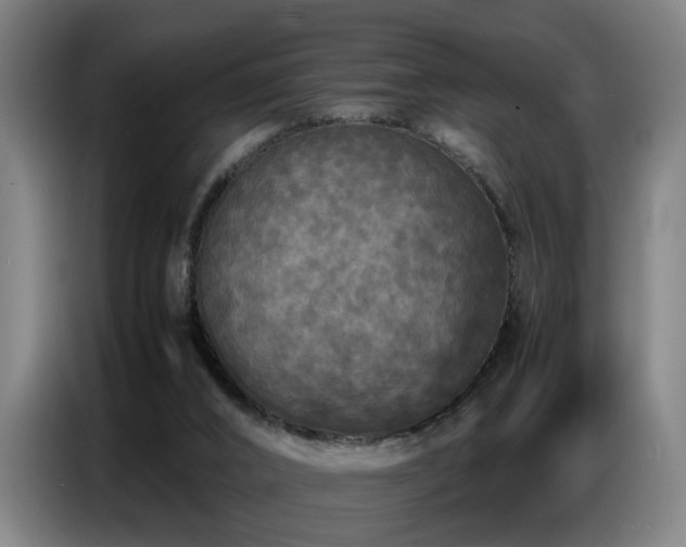 X0000087320016200704201118