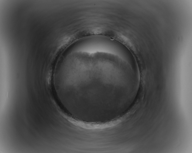 X0000087320018200704201118