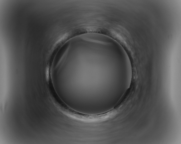 X0000087320019200704201118