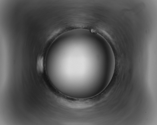 X0000087320020200704201118