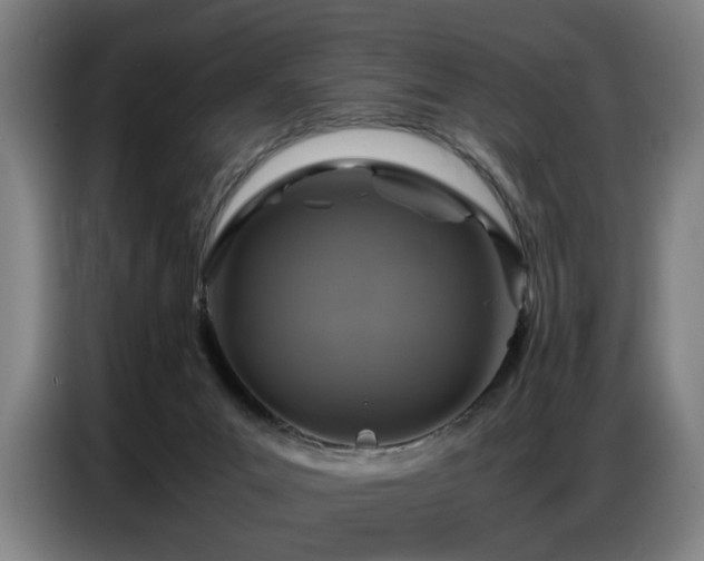 X0000087320023200704201118