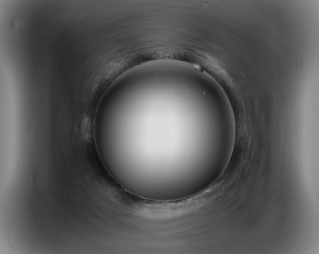 X0000087320025200704201118