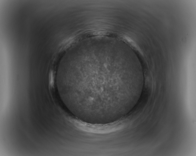 X0000087320026200704201118