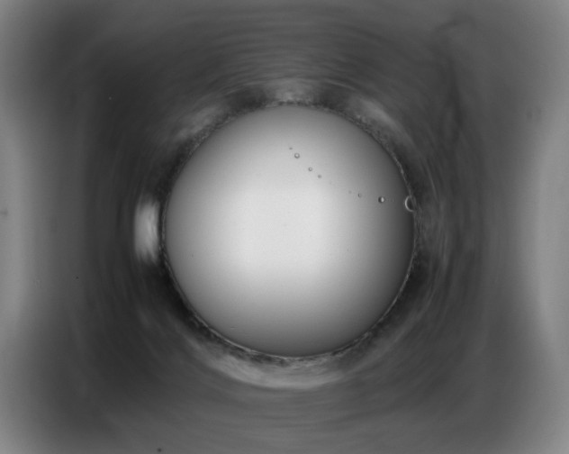 X0000087320028200704201118