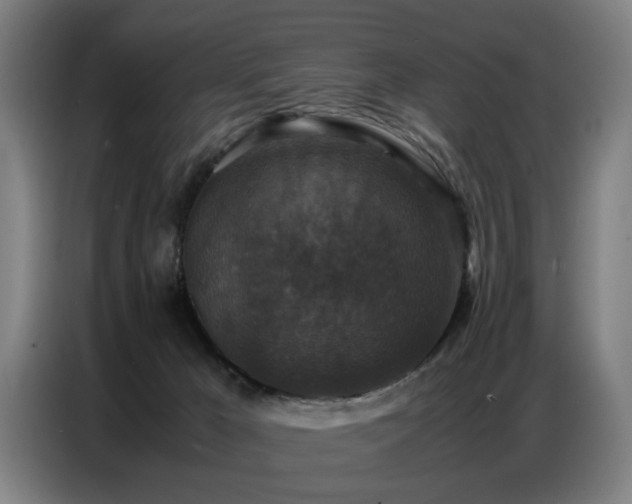 X0000087320029200704201118